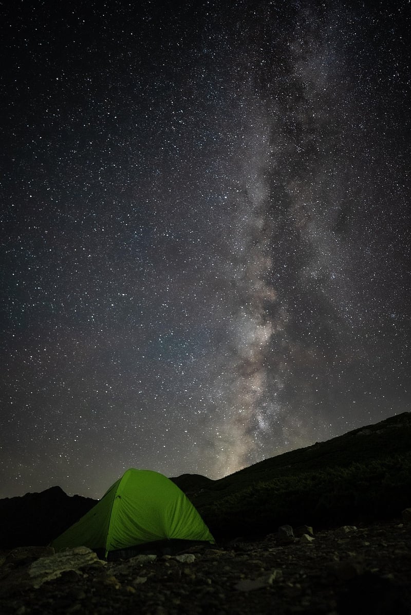 Starlight Splendor