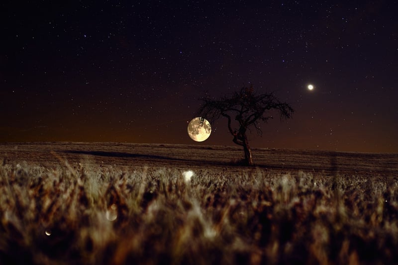 Moonbeam Tokens